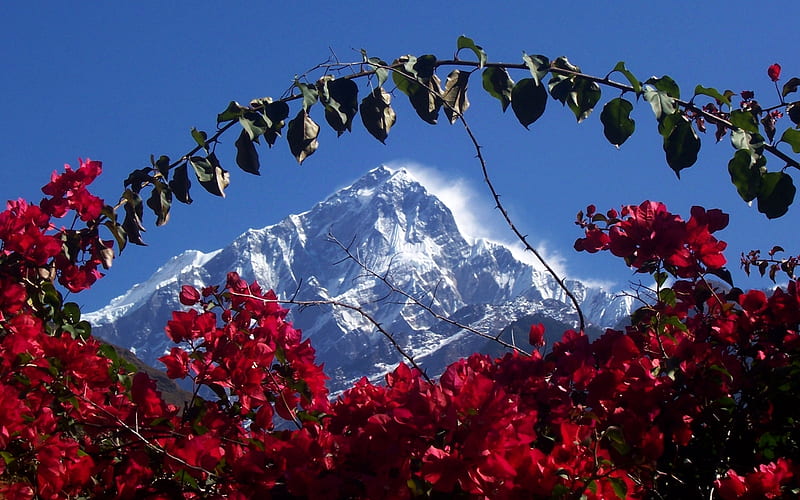 MT. NUPTSE EXPEDITION